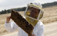 Οδηγίες για μελισσοκόμους...