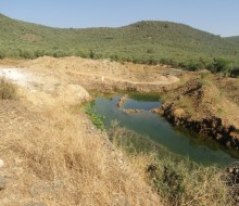 Μπαζώματα στον Ευεργέτουλα καταγγέλουν οι Οικολόγοι Πράσινοι 