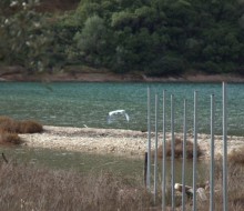 Περίφραξη στη θάλασσα ! | Καταγγελία των Οικολόγων Πράσινων 