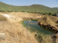 Μπαζώματα στον Ευεργέτουλα καταγγέλουν οι Οικολόγοι Πράσινοι 