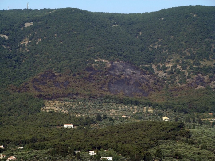 Εικόνα καταστροφής σήμερα, μια μέρα μετά τη φωτιά στο δάσος της Αγ. Μαρίνας 
