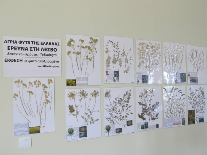 Έκθεση για τα φυτά της Λέσβου  στο ΚΠΕ Καλλονής 