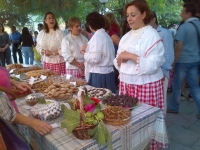 Γεύσεις σύκου και παράδοση στο Ίππειος | Επιτυχημένη η 1η Γιορτή Σύκου (photos)