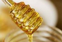 Αντίδοτο το μέλι στην αντιμετώπιση της παχυσαρκίας 