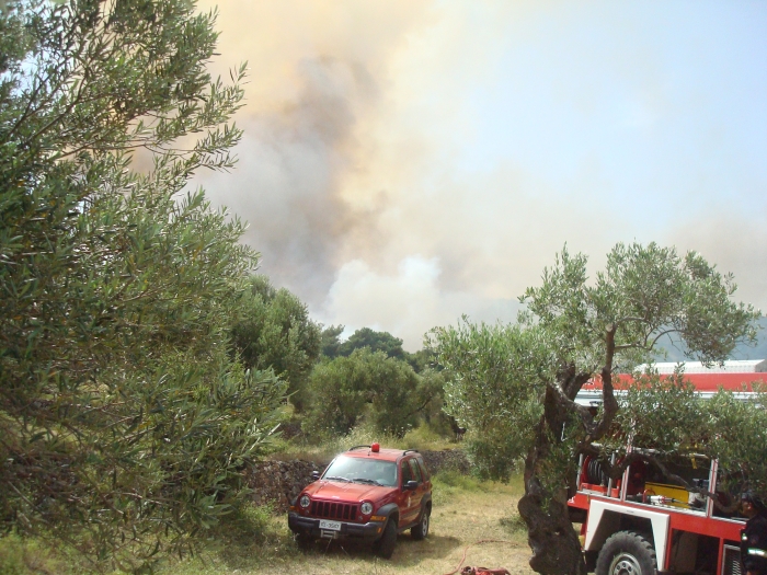 Υπο μερικό έλεγχο από το πρωί η φωτιά | Στάχτη 179 στρέμματα δάσους 