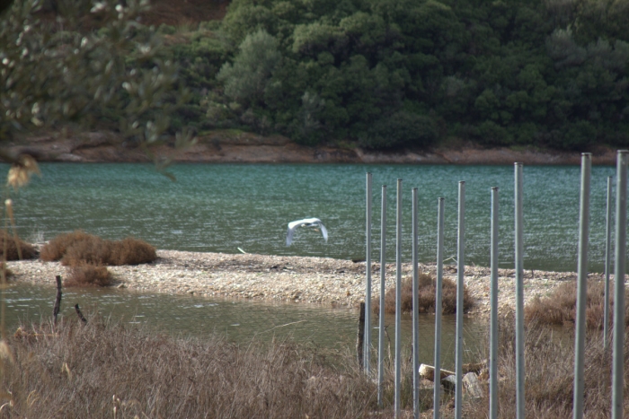 Περίφραξη στη θάλασσα ! | Καταγγελία των Οικολόγων Πράσινων 