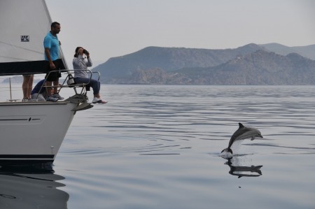 Στο Επιχειρησιακό Πρόγραμμα της Περιφέρειας Β. Αιγαίου η κατάρτιση Μητρώου Πηγών Ρύπανσης των νησιών